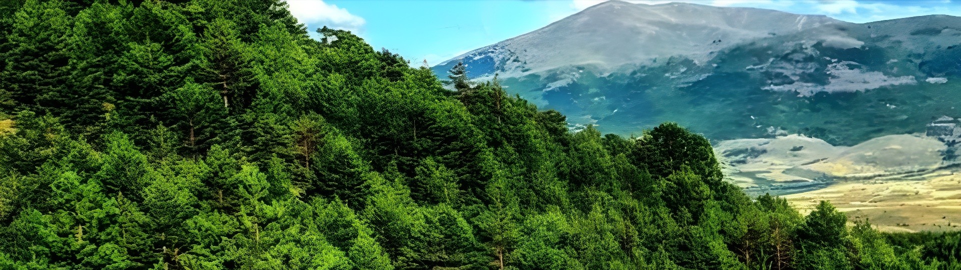 Çekerek Belediye Başkanlığı