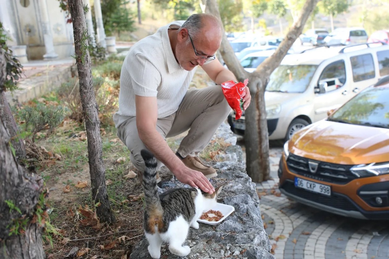 Dünya Hayvan Günü